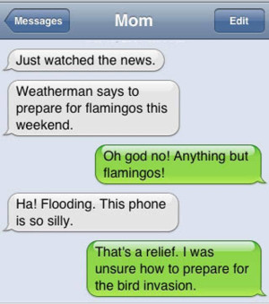 image 15 in autocorrect gallery