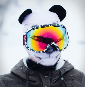 image 6 in Beardo skimaskers  gallery