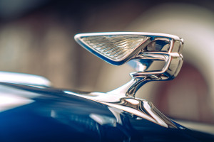 image 6 in bentley flying gallery