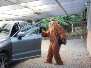 image 1 in BigFoot gallery