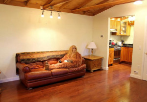 image 2 in BigFoot gallery