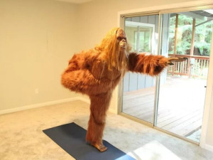 image 4 in BigFoot gallery