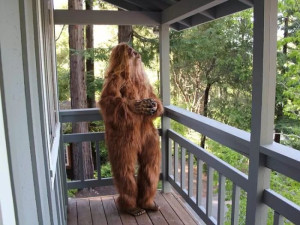 image 9 in BigFoot gallery