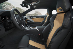 image 18 in Bimmer M8 gallery