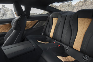 image 21 in Bimmer M8 gallery