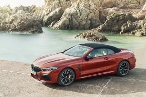 image 27 in Bimmer M8 gallery