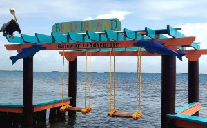 image 1 in Bird Island gallery