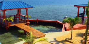 image 3 in Bird Island gallery