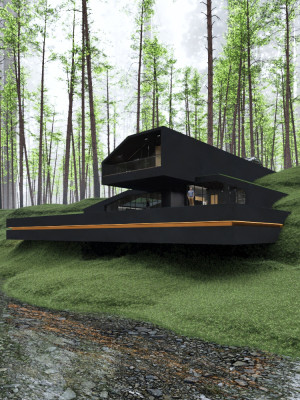 image 7 in BlackVilla gallery