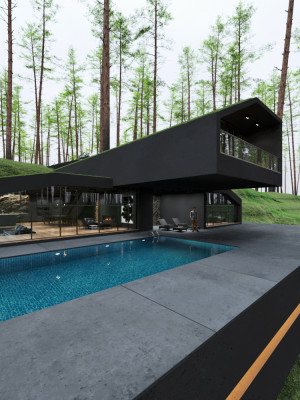 image 9 in BlackVilla gallery