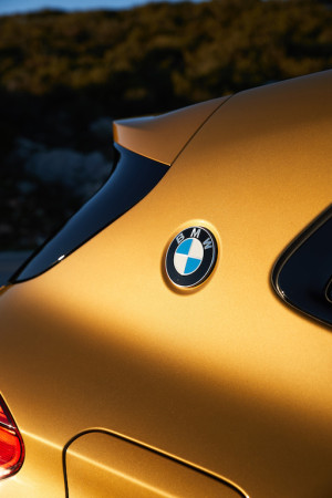 image 15 in BMWIXTWEE gallery