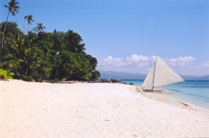 image 5 in borocay gallery