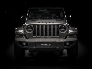 image 11 in brute jeep gallery