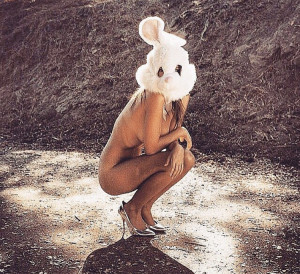 image IMG_3237 in Bunny gallery