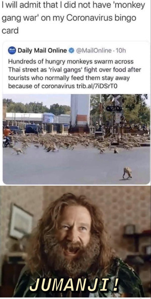 image 13 in Corona Memes gallery