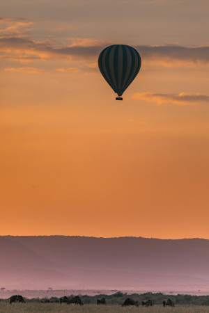 image pexels-antony-trivet-6056773 in Coronatravel Tanzania gallery
