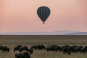 image pexels-antony-trivet-6056778 in Coronatravel Tanzania gallery
