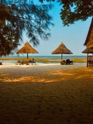 image pexels-manuel-2949825 in Coronatravel Tanzania gallery