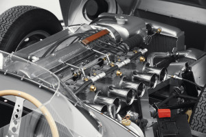 image 11 in D-Type gallery
