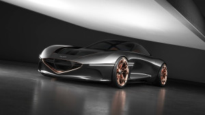 image 3 in Genesis Essentia gallery