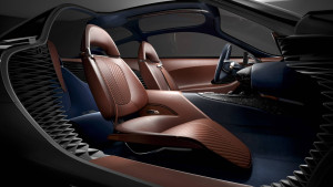 image 9 in Genesis Essentia gallery