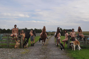 image 6 in gepensioneerde honden gallery