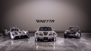 image 12 in ginetta gallery