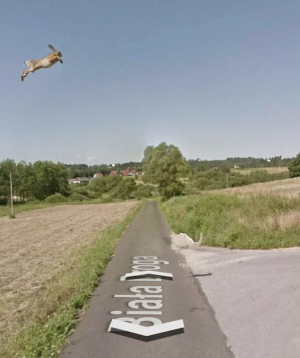 image 4 in google maps gallery