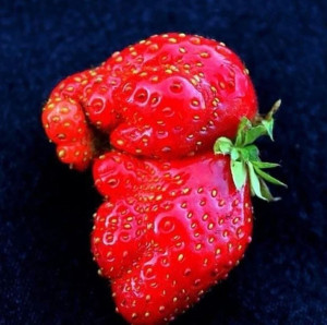 image 8 in Groenten en Fruit gallery