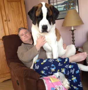 image 13 in grote honden gallery
