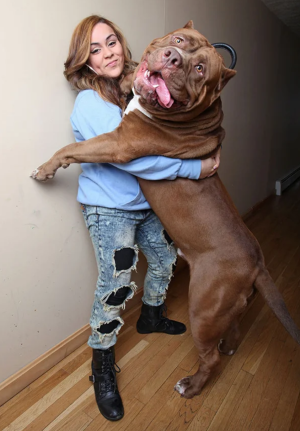 image 20 in grote honden gallery