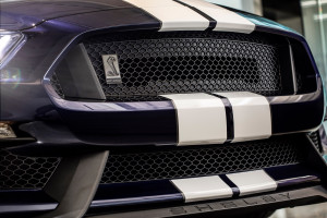 image 7 in GT350 gallery
