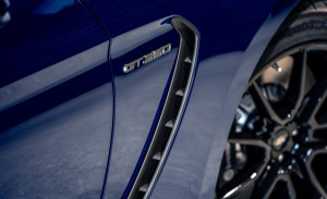 image 9 in GT350 gallery