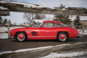 image 14 in Gullwing gallery