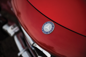 image 16 in Gullwing gallery