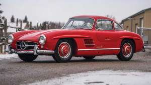 image 1 in Gullwing gallery