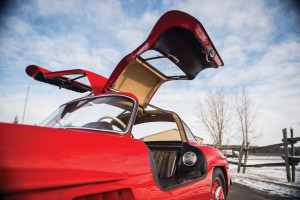 image 9 in Gullwing gallery
