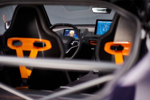 image 7 in Gumpert Nathalie gallery