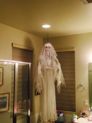 image 12 in halloween gekte gallery