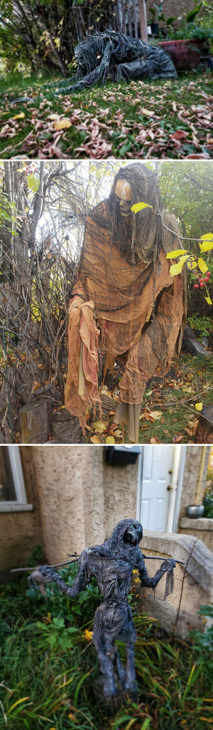 image 15 in halloween gekte gallery