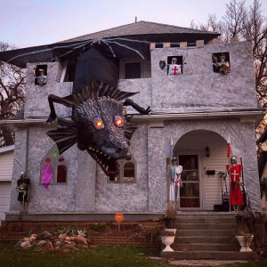 image 6 in halloween gekte gallery
