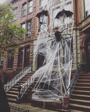 image 9 in halloween gekte gallery