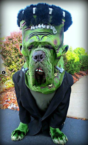 image 3 in hallowoef gallery