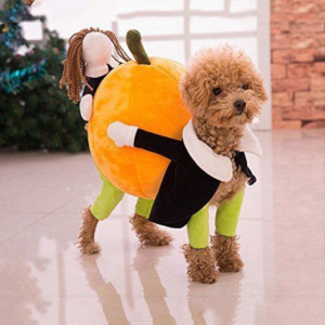 image 8 in hallowoef gallery