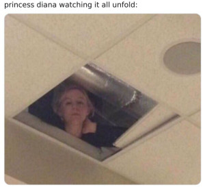 image 27 in HarryMemes gallery
