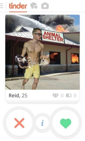 image 22 in Hilarischetinder gallery