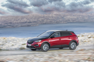 image 3 in hybride opel gallery