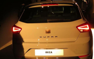 image 6 in ibiza cubra gallery