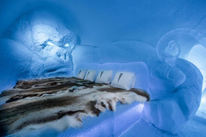image 10 in ice ice baby gallery