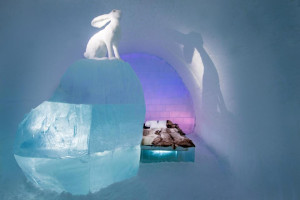 image 11 in ice ice baby gallery